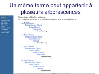 Un même terme peut appartenir à
    plusieurs arborescences
 