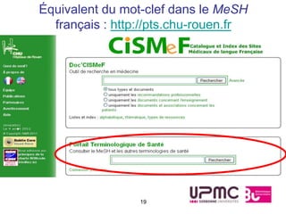 Équivalent du mot-clef dans le MeSH
  français : http://pts.chu-rouen.fr




                 19
 