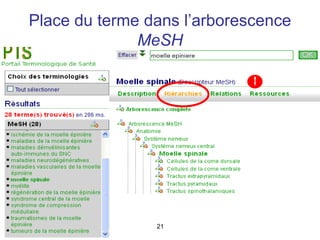 Place du terme dans l’arborescence
              MeSH




                21
 