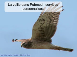 La veille dans Pubmed : services
                       personnalisés




Low-flying harrier – Wolfpix – CC-BY-SA flickr
 