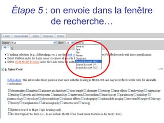 Étape 5 : on envoie dans la fenêtre
          de recherche…
 