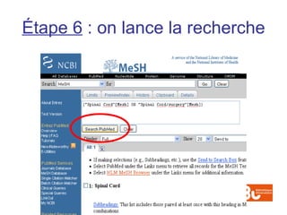 Étape 6 : on lance la recherche
 