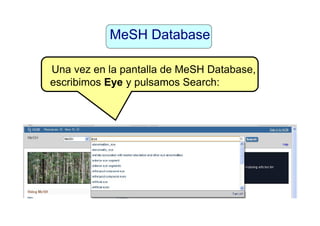 Subheadings o
subencabezamientos
MeSH Major Topic y Do Not Explode
Nos aparece el registro completo para Eye
Este término está situado en dos ramas
Posición del término en la estructura jerárquica
Términos relacionados de posible interés
 