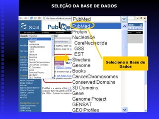 Selecione a Base de
Dados
SELEÇÃO DA BASE DE DADOS
 