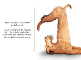 Inspira ed espira lentamente
per 3/5 minuti.
Fai uno stretching del muscoli
del collo e delle spalle sia in
estensione che attraverso circuiti
di contrazione-rilasciamento.
 