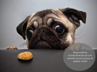 Rispondiamo
emotivamente ad uno
stimolo ancora prima di
sapere cos’è!
 