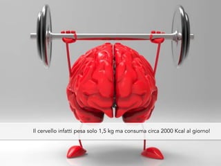 Il cervello infatti pesa solo 1,5 kg ma consuma circa 2000 Kcal al giorno!
 