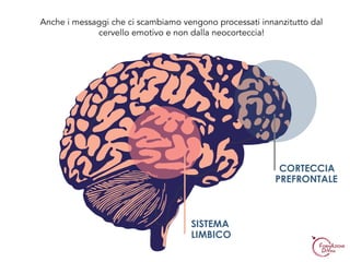 ADIOMA.COM
TEMPLATE
BY
SISTEMA
LIMBICO
CORTECCIA
PREFRONTALE
VFFDFEFRVEFVEFVEV
Anche i messaggi che ci scambiamo vengono processati innanzitutto dal
cervello emotivo e non dalla neocorteccia!
 