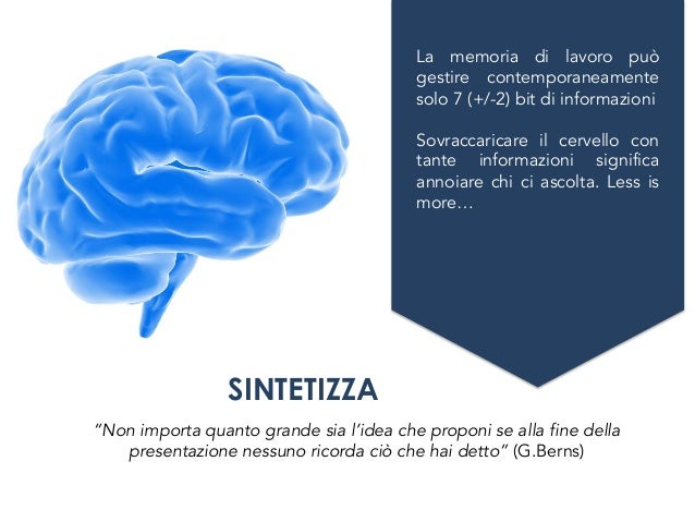 Quante Informazioni Può Contenere Il Cervello