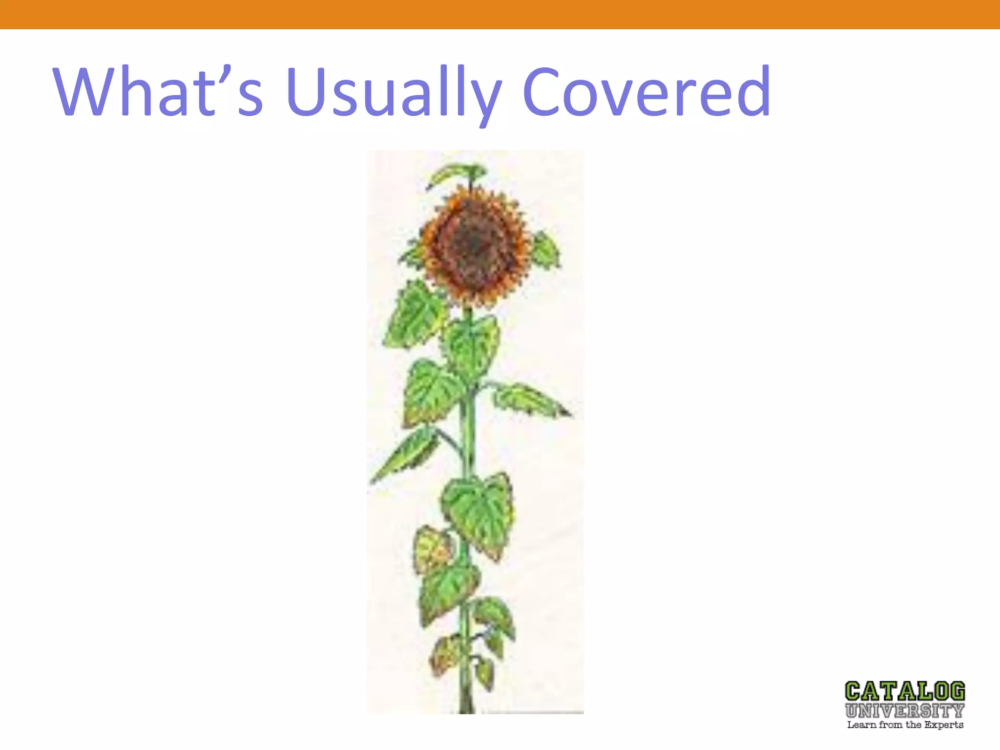 What’s Usually Covered
 