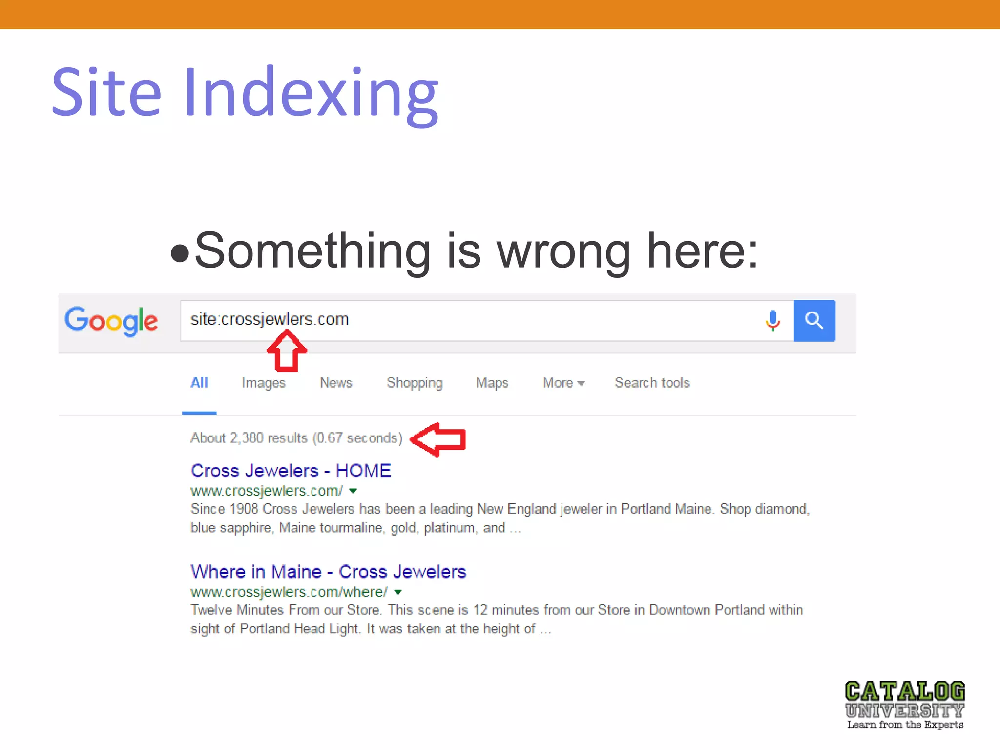 Site Indexing
Something is wrong here:
 