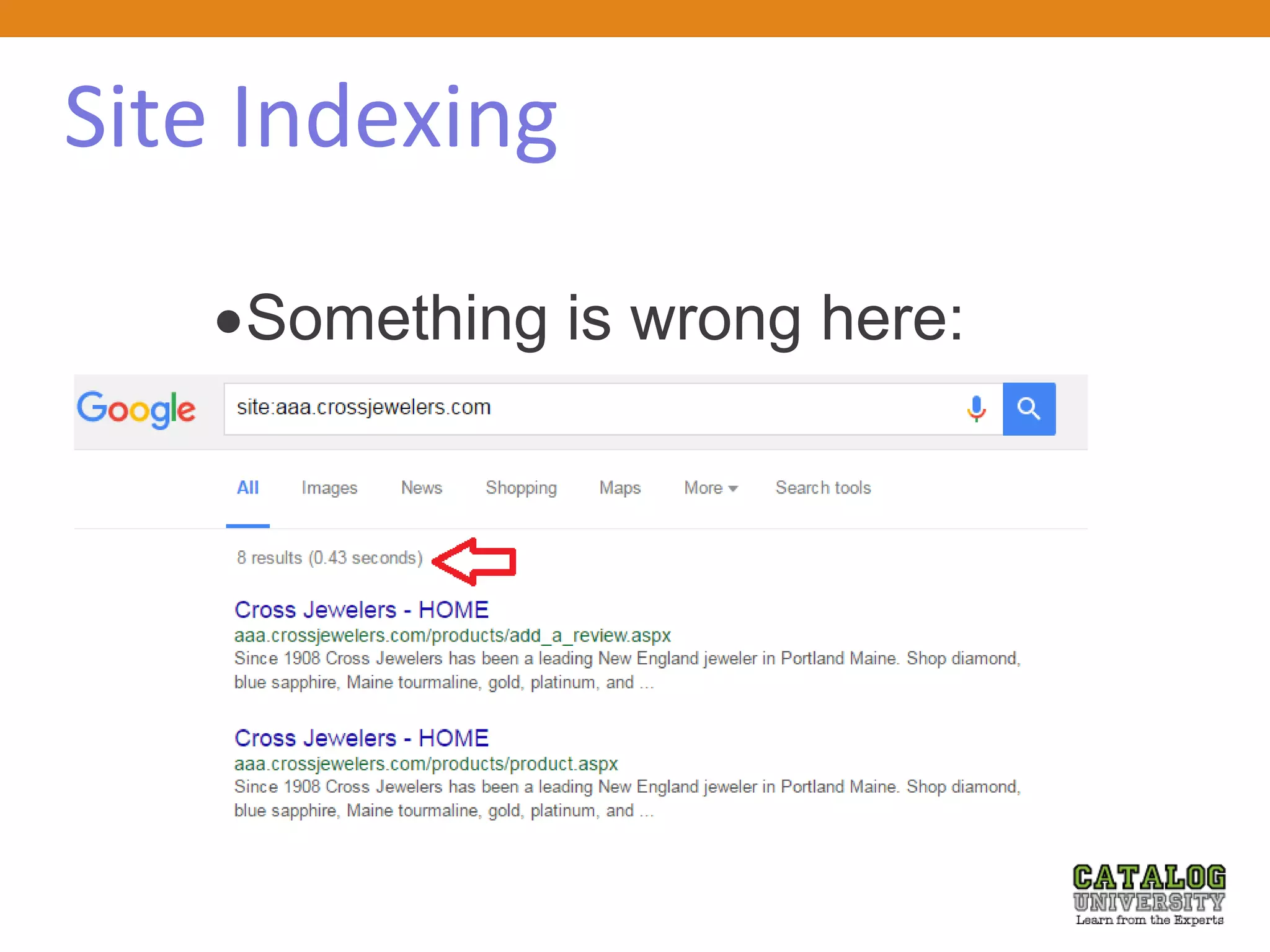 Site Indexing
Something is wrong here:
 