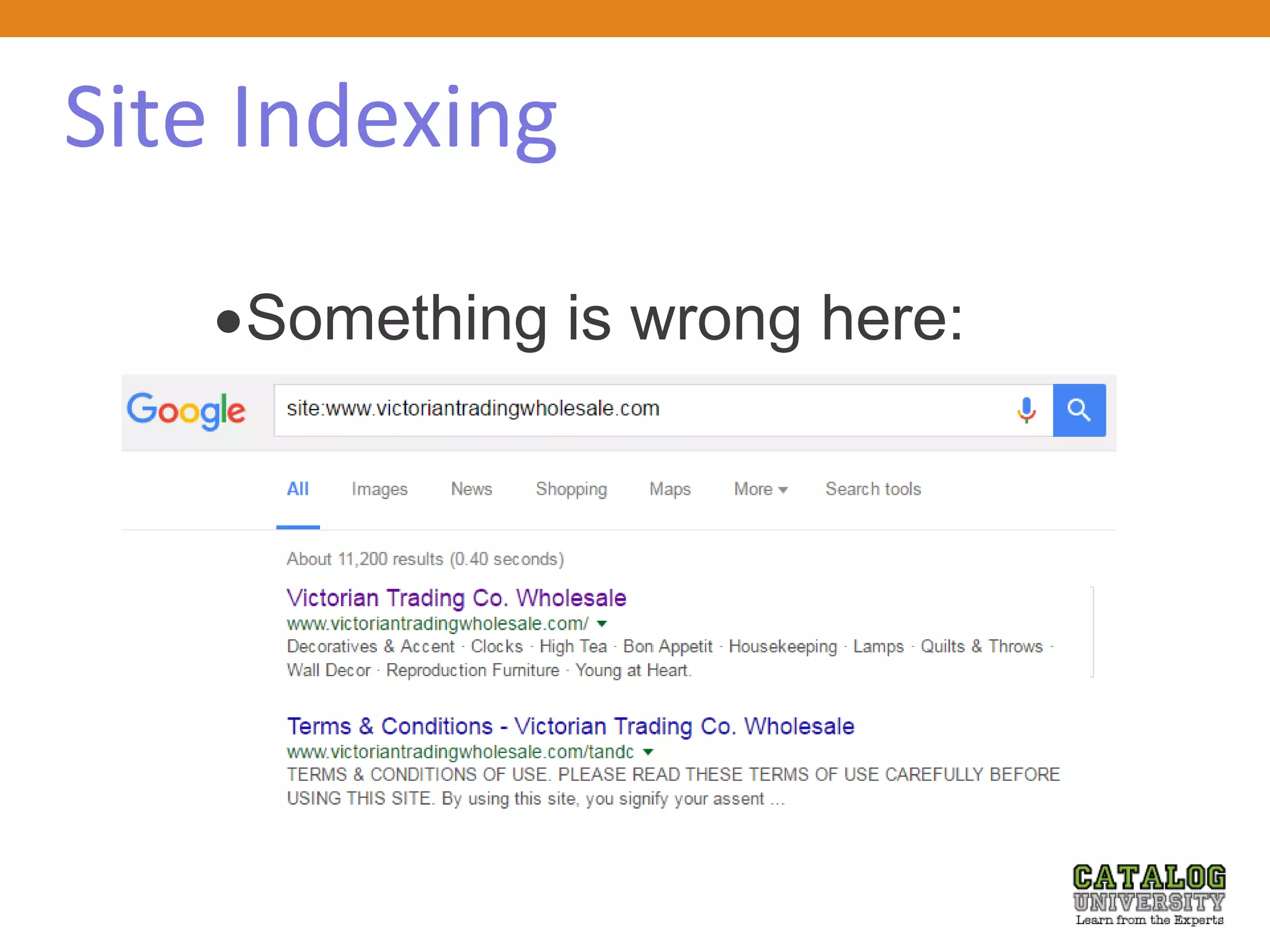 Site Indexing
Something is wrong here:
 
