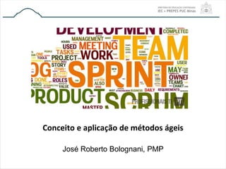 Conceito e aplicação de métodos ágeis 
José Roberto Bolognani, PMP 
 