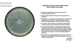 Selection of host with loaded vector
( Blue white screening)
 host cells are plated onto medium that contains
ampicillin, IPTG, and X-Gal.
 Non-transformed cells cannot grow in the presence of
ampicillin.
 Cells with non-recombinant puc19 plasmids can grow with
ampicillin in the medium, and because they can form
functional β-galactosidase, they produce blue colonies.
 In contrast, host cells that carry a plasmid–cloned DNA
construct produce white colonies on the same medium.
 The reason for this is that, usually, DNA inserted into a
restriction endonuclease site within the multiple cloning
site disrupts the correct sequence of DNA codons (reading
frame) of the lacZ′ gene and prevents the production of a
functional LacZ′ protein, so no active β-galactosidase is
produced .
 In the absence of β-galactosidase activity the X-Gal in the
medium is not converted to the blue compound, so these
colonies remain white.
15
 
