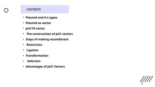 content
• Plasmid and it's types
• Plasmid as vector
• pUC19 vector
• The construction of pUC vectors
• Steps of making recombinant
• Restriction
• Ligation
• Transformation
• Selection
• Advantages of pUC Vectors
2
 