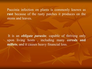Puccinia infection on plants is commonly known as
rust because of the rusty patches it produces on the
stems and leaves.
It is an obligate parasite, capable of thriving only
upon living hosts , including many cereals and
millets, and it causes heavy financial loss.
 