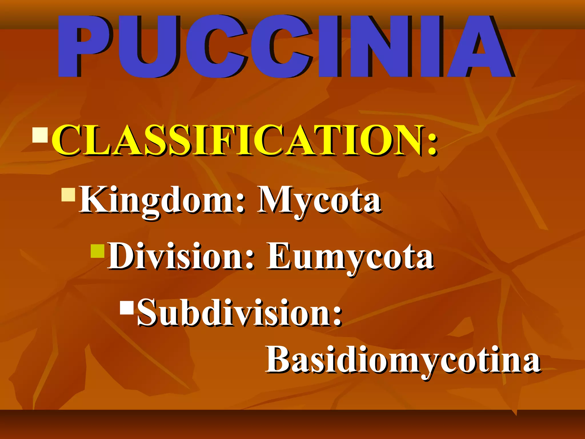CLASSIFICATION:CLASSIFICATION:
Kingdom: MycotaKingdom: Mycota
Division: EumycotaDivision: Eumycota
Subdivision:Subdivision:
BasidiomycotinaBasidiomycotina
 