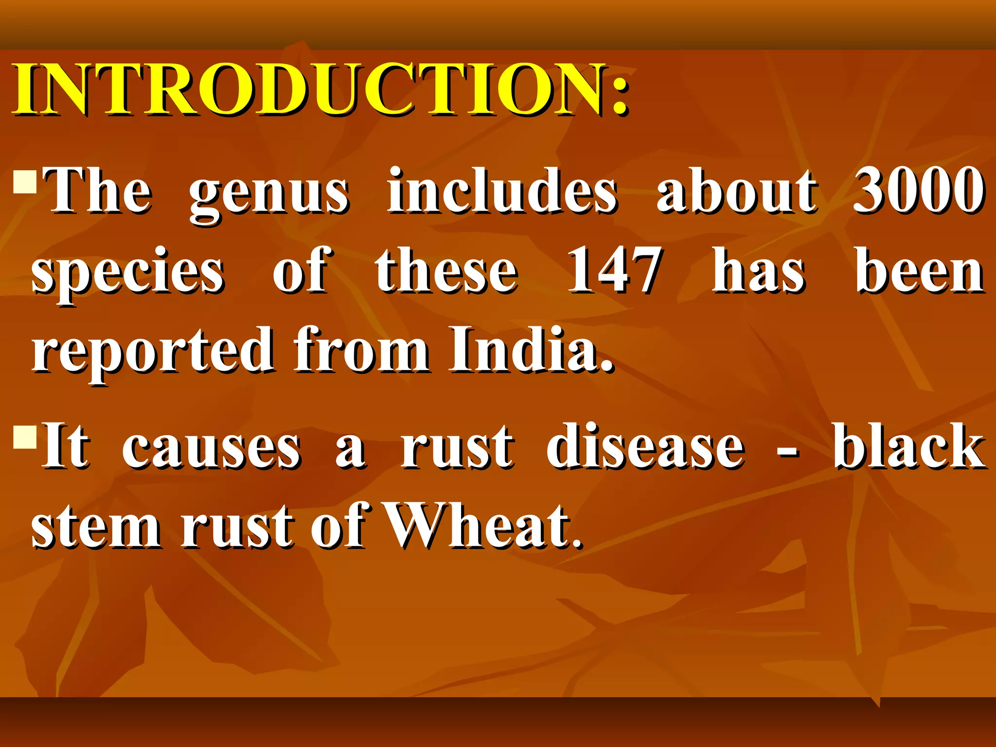 INTRODUCTION:INTRODUCTION:
The genus includes about 3000The genus includes about 3000
species of these 147 has beenspecies of these 147 has been
reported from India.reported from India.
It causes a rust disease - blackIt causes a rust disease - black
stem rust of Wheatstem rust of Wheat..
 