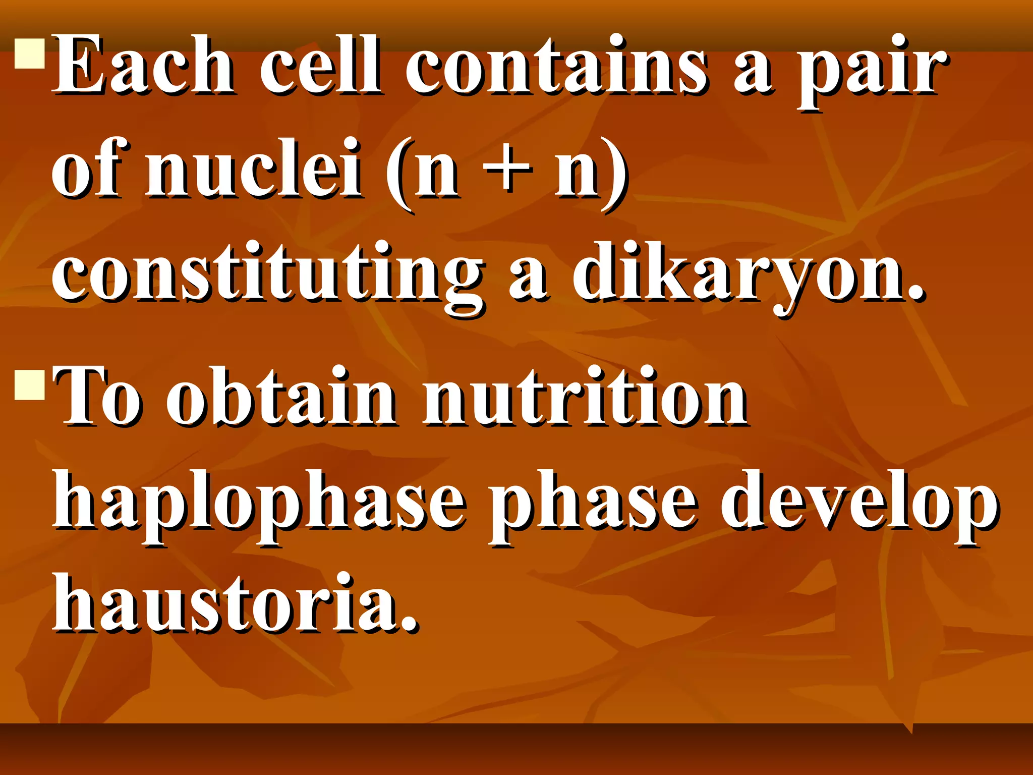 Each cell contains a pairEach cell contains a pair
of nuclei (n + n)of nuclei (n + n)
constituting a dikaryon.constituting a dikaryon.
To obtain nutritionTo obtain nutrition
haplophase phase develophaplophase phase develop
haustoria.haustoria.
 