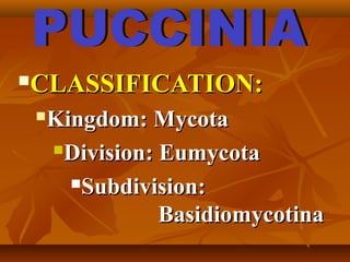 CLASSIFICATION:CLASSIFICATION:
Kingdom: MycotaKingdom: Mycota
Division: EumycotaDivision: Eumycota
Subdivision:Subdivision:
BasidiomycotinaBasidiomycotina
 