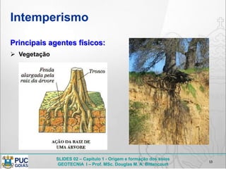 SLIDES 02 – Capítulo 1 - Origem e formação dos solos
GEOTECNIA I – Prof. MSc. Douglas M. A. Bittencourt
Intemperismo
13
Principais agentes físicos:
 Vegetação
 