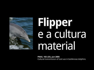 Flipper
e a cultura
material
PNAS, 102 (25), Jun 2005
Cultural transmission of tool use in bottlenose dolphins
 