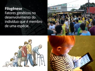 Filogênese
Fatores genéticos no
desenvolvimento do
indivíduo que é membro
de uma espécie.
 