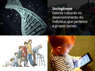 Sociogênese
Fatores culturais no
desenvolvimento do
indivíduo que pertence
a grupos sociais.
 