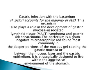 Gastric infection with the bacterium
H. pylori accounts for the majority of PUD. This
organism
also plays a role in the development of gastric
mucosa-associated
lymphoid tissue (MALT) lymphoma and gastric
adenocarcinoma.The bacterium is a gram-
negative microaerophilic rod found most
commonly in
the deeper portions of the mucous gel coating the
gastric mucosa or
between the mucous layer and the gastric
epithelium. It is strategically designed to live
within the aggressive
environment of the stomach.
 
