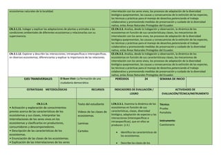 ecosistemas naturales de la localidad. interrelación con los seres vivos, los procesos de adaptación de la diversidad
biológica quepresentan, las causas y consecuencias de la extinción de las especies,
las técnicas y prácticas para el manejo de desechos,potenciando el trabajo
colaborativo y promoviendo medidas de preservación y cuidado de la diversidad
nativa, enlas Áreas Naturales Protegidas del Ecuador.
CN.3.1.11. Indagar y explicar las adaptaciones de plantas y animales a las
condiciones ambientales de diferentes ecosistemas y relacionarlas con su
supervivencia.
CE.CN.3.3. Analiza, desde la indagación y observación, la dinámica de los
ecosistemas en función de sus característicasy clases, los mecanismos de
interrelación con los seres vivos, los procesos de adaptación de la diversidad
biológica quepresentan, las causas y consecuencias de la extinción de las especies,
las técnicas y prácticas para el manejo de desechos,potenciando el trabajo
colaborativo y promoviendo medidas de preservación y cuidado de la diversidad
nativa, enlas Áreas Naturales Protegidas del Ecuador.
CN.3.1.12. Explorar y describir las interacciones, intraespecíficas e interespecíficas,
en diversos ecosistemas, diferenciarlas y explicar la importancia de las relaciones.
CE.CN.3.3. Analiza, desde la indagación y observación, la dinámica de los
ecosistemas en función de sus característicasy clases, los mecanismos de
interrelación con los seres vivos, los procesos de adaptación de la diversidad
biológica quepresentan, las causas y consecuencias de la extinción de las especies,
las técnicas y prácticas para el manejo de desechos,potenciando el trabajo
colaborativo y promoviendo medidas de preservación y cuidado de la diversidad
nativa, enlas Áreas Naturales Protegidas del Ecuador.
EJES TRANSVERSALES El Buen Vivir: La formación de una
ciudadanía democrática
PERÍODOS 24 SEMANA DE INICIO
ESTRATEGIAS METODOLÓGICAS RECURSOS INDICADORES DE EVALUACIÓN /
LOGRO
ACTIVIDADES DE
EVALUACIÓN/TÉCNICA/INSTRUMENTO
CN.3.1.9.
• Activación y exploración de conocimientos
previos acerca de las características de los
ecosistemas y sus clases, interpretar las
interrelaciones de los seres vivos en los
ecosistemas y clasificarlos en productores,
consumidores y descomponedores.
• Descripción de las características de los
ecosistemas.
• Enunciación de las clases de los ecosistemas.
• Explicación de las interrelaciones de los seres
Texto del estudiante
Videos de las clases de
ecosistemas.
Laminas
Carteles
I.CN.3.3.1. Examina la dinámica de los
ecosistemas en función de sus
características, clases, diversidad
biológica, adaptación de especies y las
interacciones (interespecíficas e
intraespecíficas), que en ellos se
producen. (J.3.)
 Identifica las características de
los ecosistemas.
 Describe las clases de los
Técnica:
Prueba
Portafolio
Instrumento:
Cuestionario
 