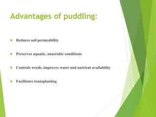 Advantages of puddling:
 Reduces soil permeability
 Preserves aquatic, anaerobic conditions
 Controls weeds, improves water and nutrient availability
 Facilitates transplanting
 