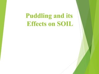 Puddling and its
Effects on SOIL
 