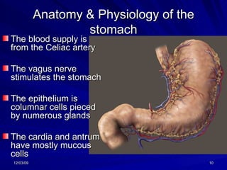 Anatomy & Physiology of the stomach The blood supply is from the Celiac artery The vagus nerve stimulates the stomach The epithelium is columnar cells pieced by numerous glands The cardia and antrum have mostly mucous cells 