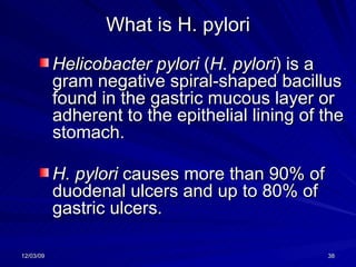 What is H. pylori Helicobacter pylori  ( H. pylori ) is a gram negative spiral-shaped bacillus found in the gastric mucous layer or adherent to the epithelial lining of the stomach.  H. pylori  causes more than 90% of duodenal ulcers and up to 80% of gastric ulcers.   
