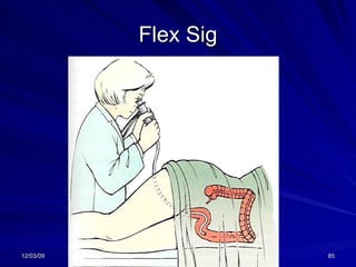 Flex Sig 