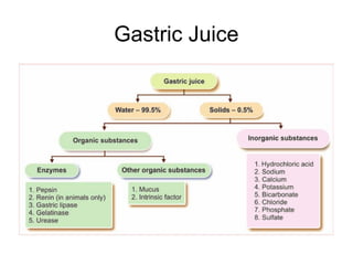 Gastric Juice
 