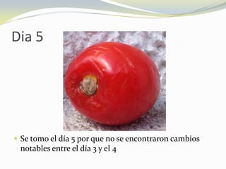 Dia 5
 Se tomo el día 5 por que no se encontraron cambios
notables entre el día 3 y el 4
 