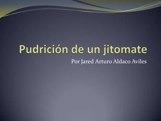 Por Jared Arturo Aldaco Aviles
 