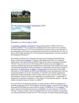 Actividad agrícola en el valle de Tecamachalco, Puebla
Sembradíos en el valle de Atlixco, Puebla
La agricultura, ganadería, silvicultura y la pesca representaron en 2004 el 6.4% de la
economía poblana.[51]
En ese mismo año, la producción de estos sectores de la economía
del estado representaron el 3,77% de la actividad en los mismos ramos a nivel nacional, lo
que representó un retroceso de casi medio punto porcentual en un período de cinco años, ya
que en 1999, Puebla aportaba el 4,12% de la producción agropecuaria, silvícola y pesquera
de la República Mexicana.[52]
De acuerdo con informes de la Secretaría de Agricultura, Ganadería, Desarrollo Rural,
Pesca y Alimentación (Sagarpa),[53]
durante el año agropecuario 2005, en el estado de
Puebla fueron cultivadas un total de 908.041,4 Ha, de las cuales se cosecharon solamente
739.197,7 Ha, con valor de 6 mil 416 millones 841 mil pesos mexicanos (MXN). La
superficie sembrada representa aproximadamente la cuarta parte de la superficie del estado,
y comprende principalmente tierras de temporal. Los principales cultivos fueron el maíz, el
café cereza, la caña de azúcar, la alfalfa y el tomate verde. La mayor parte de las tierras
cultivadas en el ciclo agrícola del 2005 fueron dedicadas al maíz, que representó el 60% de
las parcelas poblanas en ese año. Sin embargo, la mitad del valor total de la producción
agrícola del estado corresponde a cultivos varios, entre los que se incluyen flores, frutos, y
otras hortalizas. Entre los cultivos más redituables a la economía local — comparando la
magnitud de la superficie sembrada y el valor relativo en la producción agrícola— hay que
señalar a la caña de azúcar, el tomate y la alfalfa.[53]
En lo que refiere a la producción ganadera, el estado contaba en 2005 con alrededor de 2
millones de porcinos; más de 759 mil cabezas de ganado caprino, y más de 743 mil cabezas
de ganado bovino; había casi medio millón de ovinos y alrededor de 315 mil caballos.[54]
El
mayor volumen de la producción de carne correspondió a la carne de puerco, con 83 mil
470 Tm,[55]
aunque el mayor valor de la producción de este sector económico correspondió
a la comercialización de la carne de aves.[56]
Por otra parte, el estado también produjo leche
 