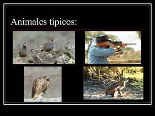 Animales típicos: 