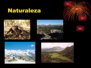Naturaleza 