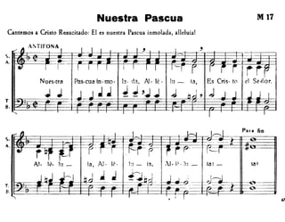 Nuestra Pascua MI7
Cantemos a Cristo Resucitado: El es nuestra Pascua inmolada, alleluial
4:TIFONA./ ~ • 1
I I I I I I , I
,
------- ·I-~
--~
;;1-.,
• I r , I ! I I I I 1 I'--r r r j i rrrNues·tra Pas·cua in· mo· la· da, AJ·té· ¡u- ia, Es Criso
to el Se·ñor.
J .t J JJJ ; ~ 'JJ J 'd .J J J J J Iq !J
:
I I I
I I
S.
A.
T
8.
•  I
Para fio
47
 