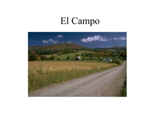 El Campo 