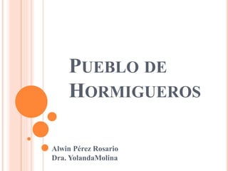 PUEBLO DE
HORMIGUEROS
Alwin Pérez Rosario
Dra. YolandaMolina
 