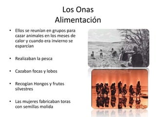 Los Onas
Alimentación
• Ellos se reunían en grupos para
cazar animales en los meses de
calor y cuando era invierno se
esparcían
• Realizaban la pesca
• Cazaban focas y lobos
• Recogían Hongos y frutos
silvestres
• Las mujeres fabricaban toras
con semillas molida
 