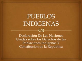 Declaración De Las Naciones
Unidas sobre los Derechos de las
Poblaciones Indígenas Y
Constitución de la Republica
 