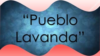 “Pueblo 
Lavanda” 
 