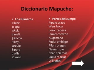 Diccionario Mapuche: Los Números : 1: kiñe 2: epu 3:kula 4:meli 5:kechu 6:kayu 7:reule 8:pura 9:ailla 10:mari Partes del cuerpo Pipan: brazo Wen: boca Lonk: cabeza Piuke: corazón Kuq: mano Fudo: ombligo Pilun: oregas Namun: pie Chan : piernas Luku: rodillas Wili:uñas. 
