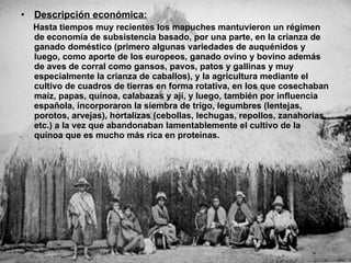 Descripción económica: Hasta tiempos muy recientes los mapuches mantuvieron un régimen de economía de subsistencia basado, por una parte, en la crianza de ganado doméstico (primero algunas variedades de auquénidos y luego, como aporte de los europeos, ganado ovino y bovino además de aves de corral como gansos, pavos, patos y gallinas y muy especialmente la crianza de caballos), y la agricultura mediante el cultivo de cuadros de tierras en forma rotativa, en los que cosechaban maíz, papas, quínoa, calabazas y ají, y luego, también por influencia española, incorporaron la siembra de trigo, legumbres (lentejas, porotos, arvejas), hortalizas (cebollas, lechugas, repollos, zanahorias, etc.) a la vez que abandonaban lamentablemente el cultivo de la quínoa que es mucho más rica en proteínas. 